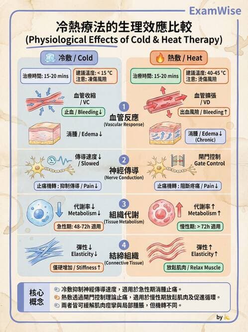 護理師 - 冷熱療法 - AI 圖文解析預覽
