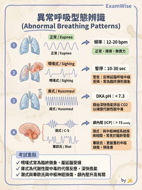 護理師 - 體溫與呼吸評估 - AI 圖文解析預覽
