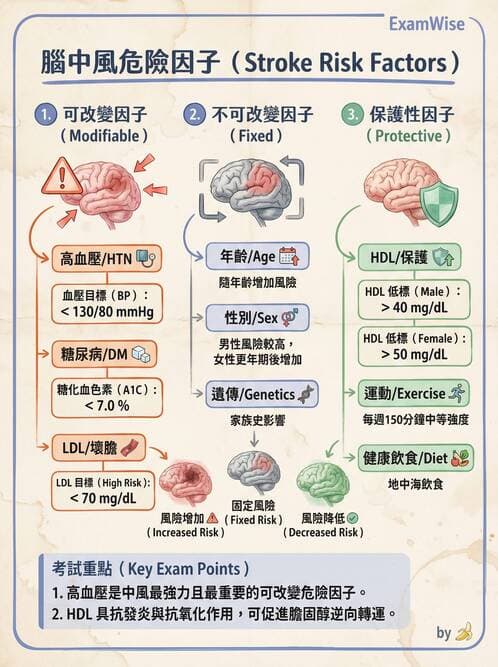 護理師 - 腦中風與腦血管疾病 - AI 圖文解析預覽