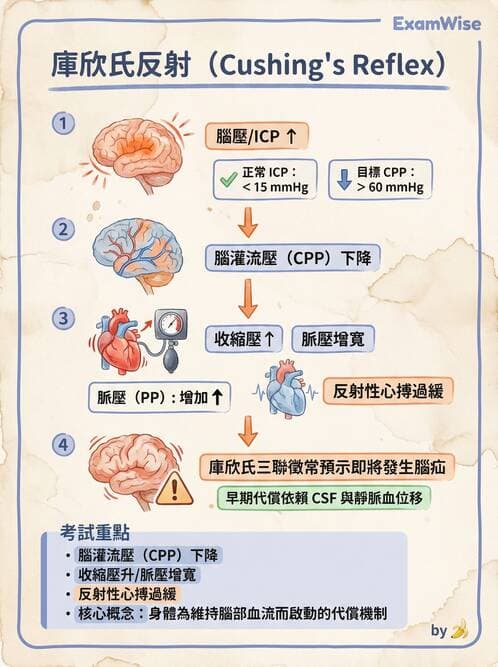 護理師 - 顱內壓升高與頭部外傷 - AI 圖文解析預覽