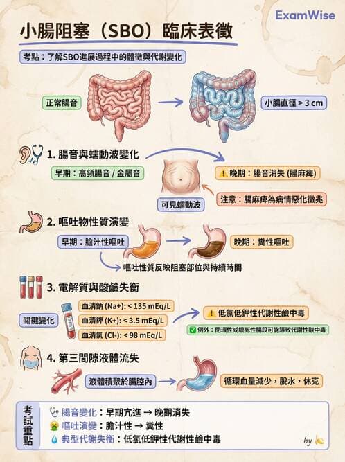 護理師 - 腸道疾病與手術護理 - AI 圖文解析預覽