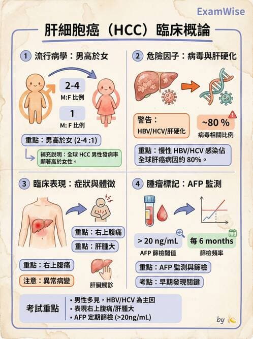 護理師 - 消化系統癌症護理 - AI 圖文解析預覽