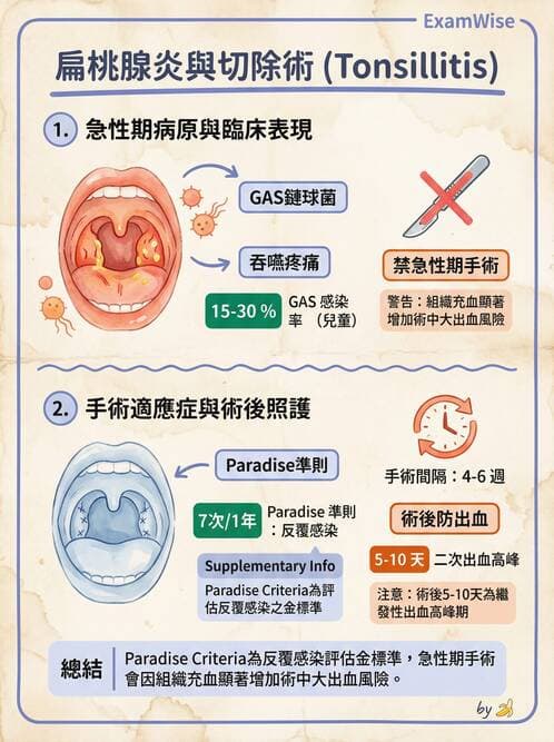 護理師 - 耳鼻喉疾病 - AI 圖文解析預覽