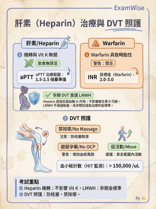 護理師 - 高血壓與周邊血管疾病 - AI 圖文解析預覽