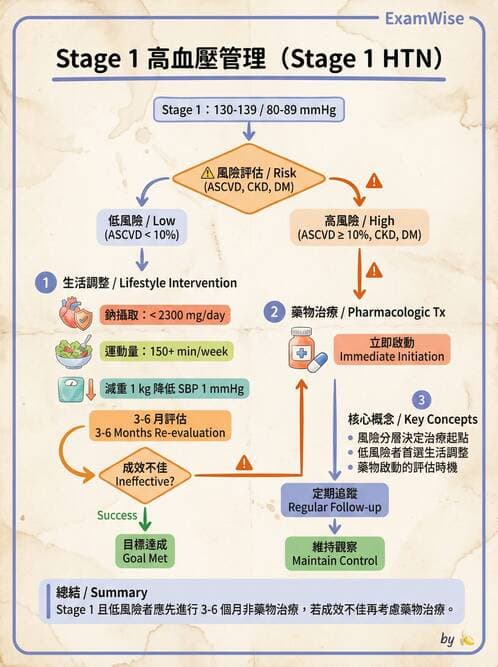 護理師 - 高血壓與周邊血管疾病 - AI 圖文解析預覽
