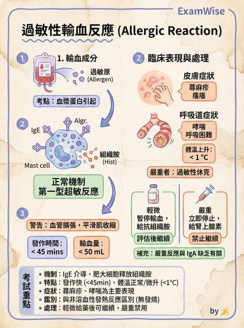 護理師 - 貧血與凝血疾病 - AI 圖文解析預覽