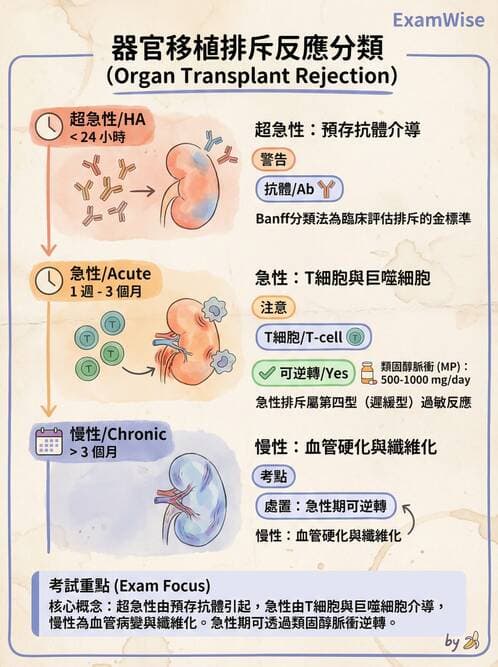 護理師 - 器官移植與AIDS - AI 圖文解析預覽