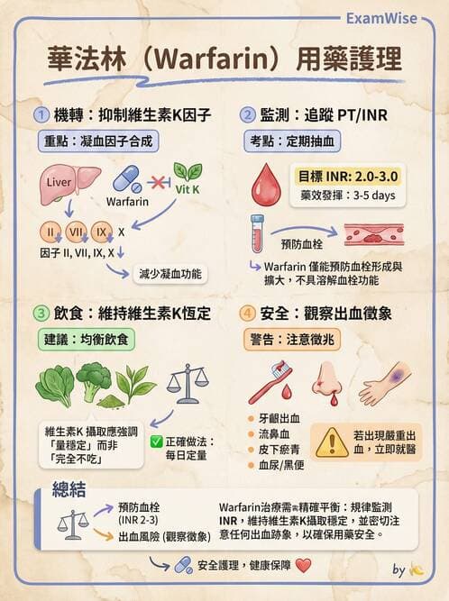 護理師 - 呼吸衰竭與胸腔護理 - AI 圖文解析預覽