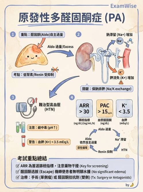 護理師 - 腎上腺與腦下垂體疾病 - AI 圖文解析預覽