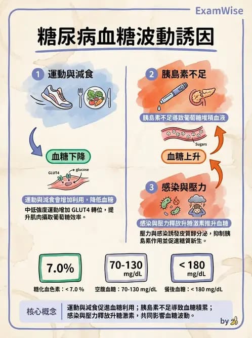 護理師 - 糖尿病基礎與藥物治療 - AI 圖文解析預覽