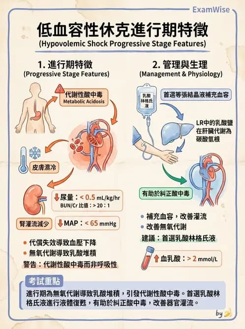 護理師 - 休克與敗血症護理 - AI 圖文解析預覽