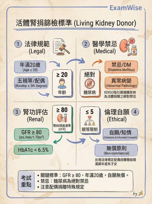 護理師 - 器官移植與AIDS - AI 圖文解析預覽