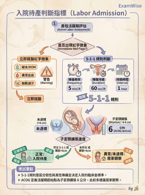 護理師 - 產程機轉與待產護理 - AI 圖文解析預覽