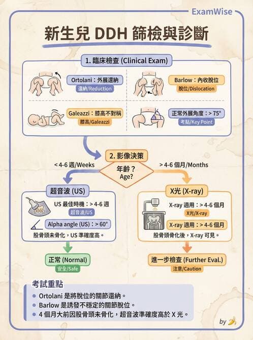 護理師 - 新生兒評估與生理特徵 - AI 圖文解析預覽