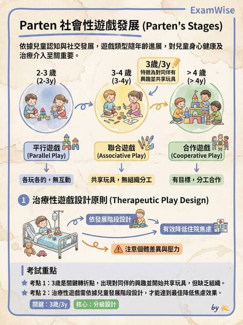 護理師 - 兒童心理社會發展與遊戲 - AI 圖文解析預覽