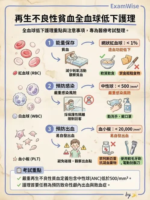 護理師 - 兒童血液與腫瘤疾病 - AI 圖文解析預覽