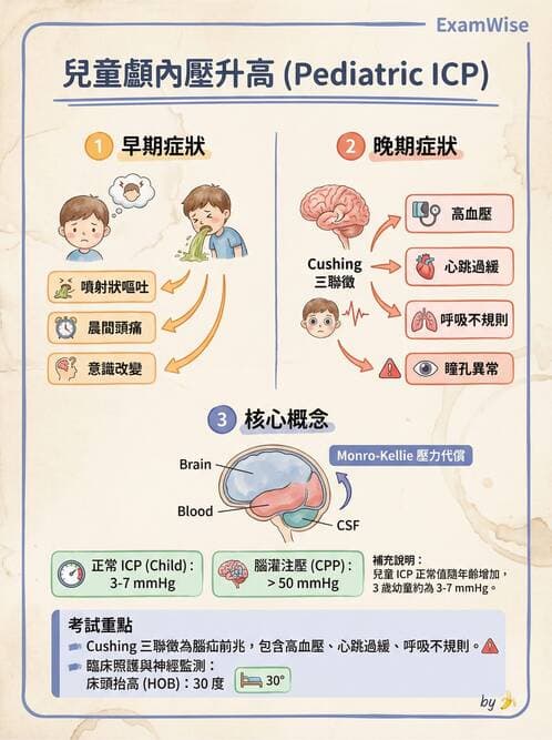 護理師 - 兒童神經肌肉骨骼疾病 - AI 圖文解析預覽