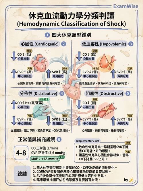 專師 - 休克分類與血行動力學 - AI 圖文解析預覽