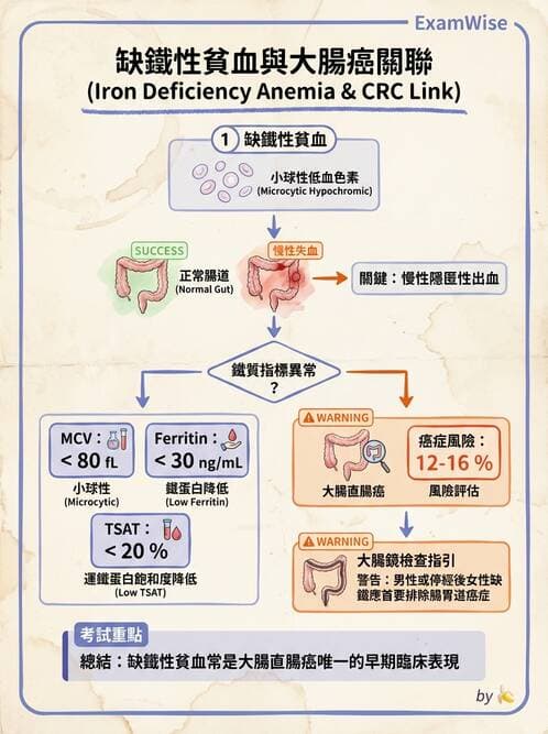 專師 - 血液疾病 - AI 圖文解析預覽