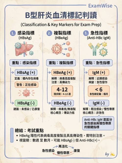 專師 - 肝炎與肝功能 - AI 圖文解析預覽