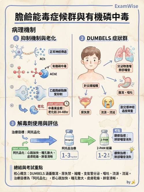 專師 - 中毒與重症照護 - AI 圖文解析預覽