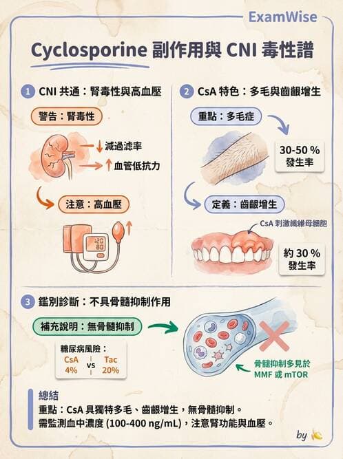 專師 - 心臟外科與介入 - AI 圖文解析預覽