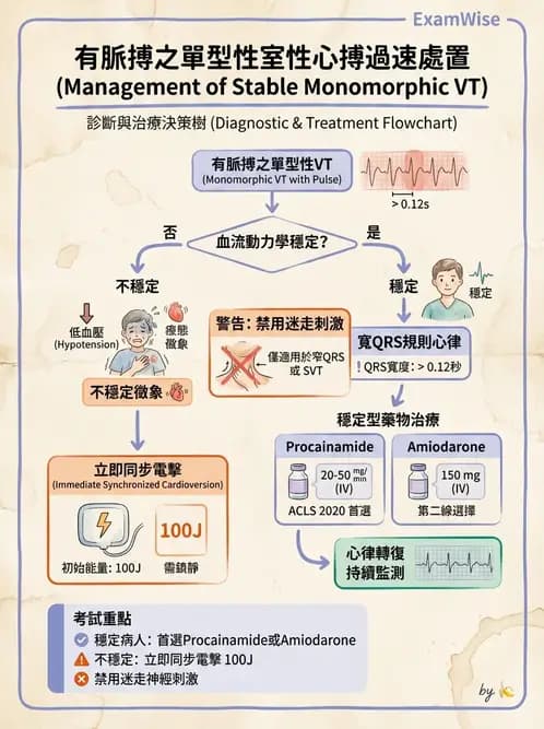 專師 - 心律不整與電擊治療 - AI 圖文解析預覽