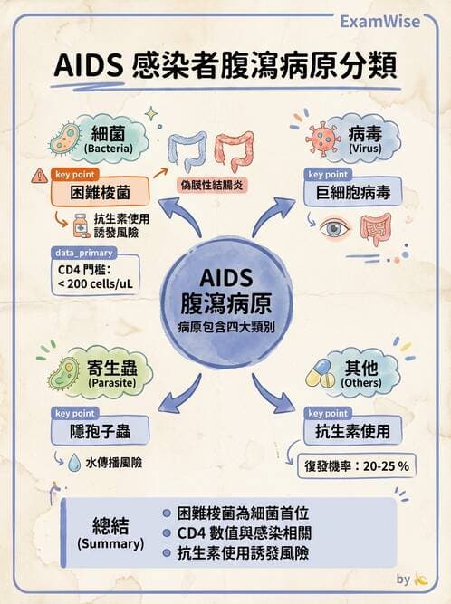 專師 - 性傳播感染 - AI 圖文解析預覽