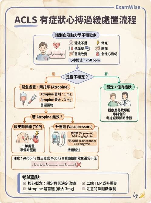 專師 - 心律不整與電擊治療 - AI 圖文解析預覽
