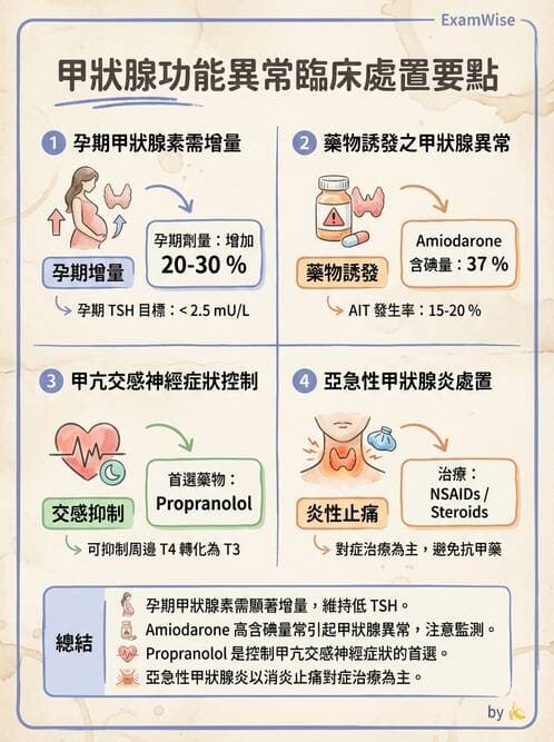 專師 - 甲狀腺疾病 - AI 圖文解析預覽