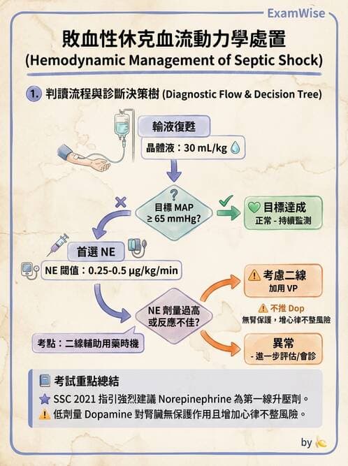 專師 - 敗血症治療與復甦指引 - AI 圖文解析預覽