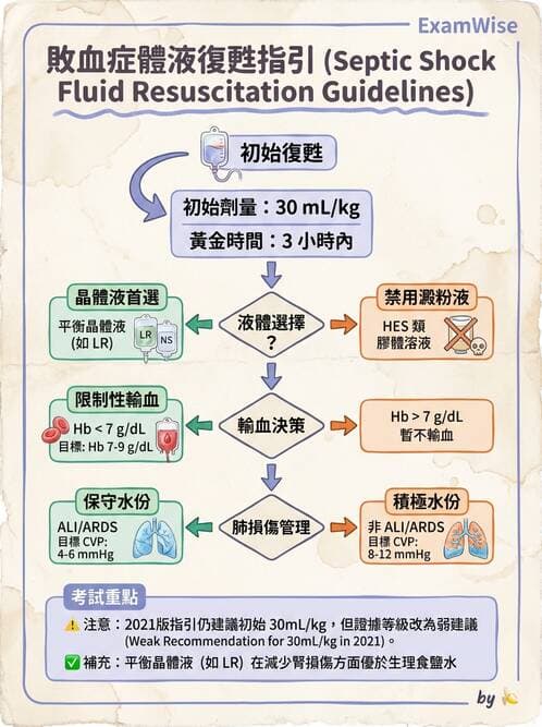 專師 - 敗血症治療與復甦指引 - AI 圖文解析預覽