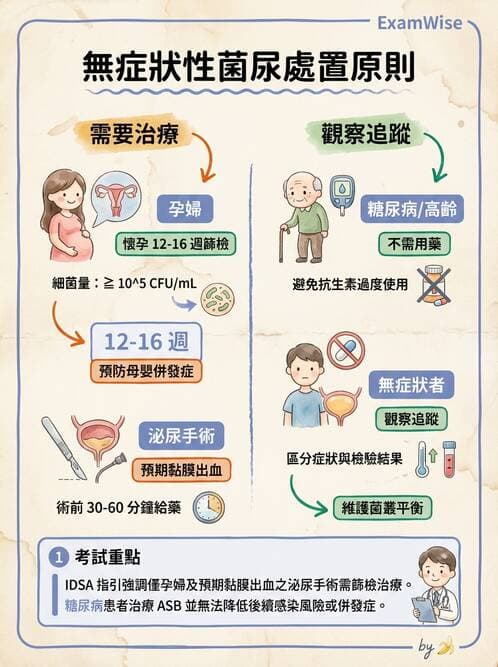 專師 - 泌尿道感染 - AI 圖文解析預覽