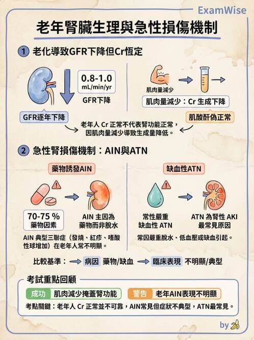 專師 - 慢性腎臟病與併發症 - AI 圖文解析預覽