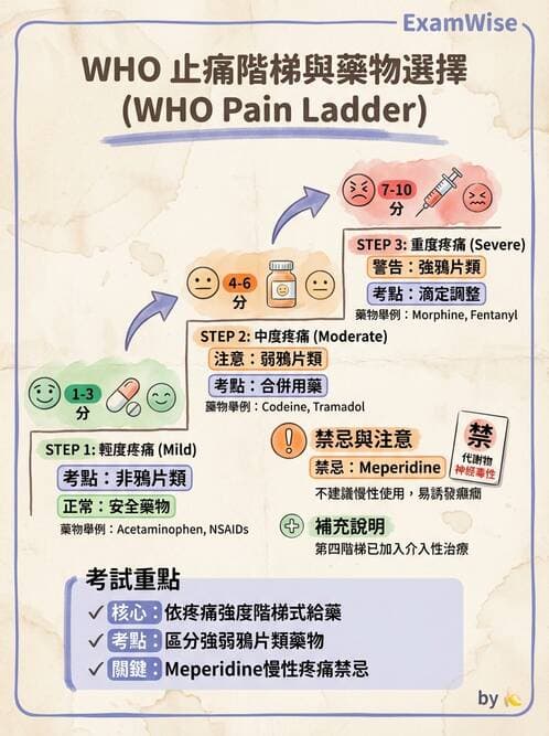 專師 - 疼痛控制與止痛藥物 - AI 圖文解析預覽
