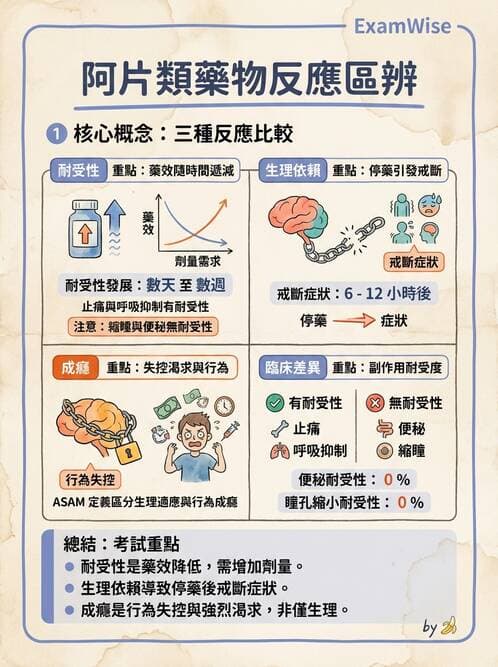 專師 - 術後疼痛控制 - AI 圖文解析預覽