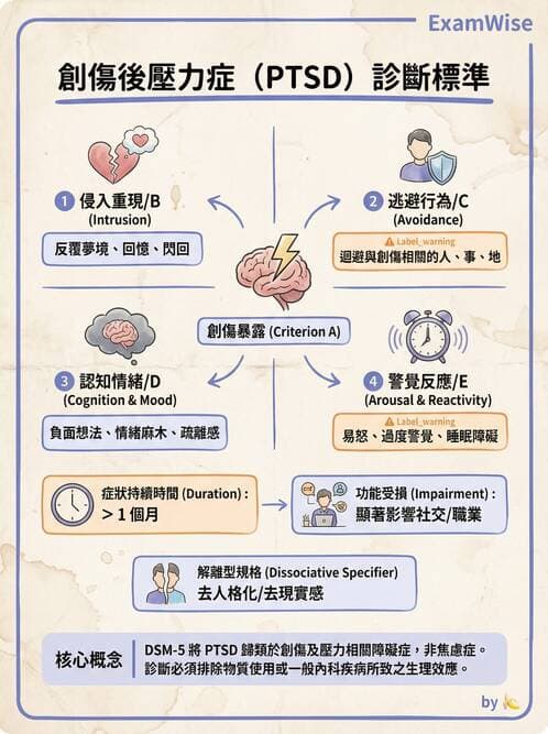 護理師 - 焦慮症與壓力相關障礙 - AI 圖文解析預覽