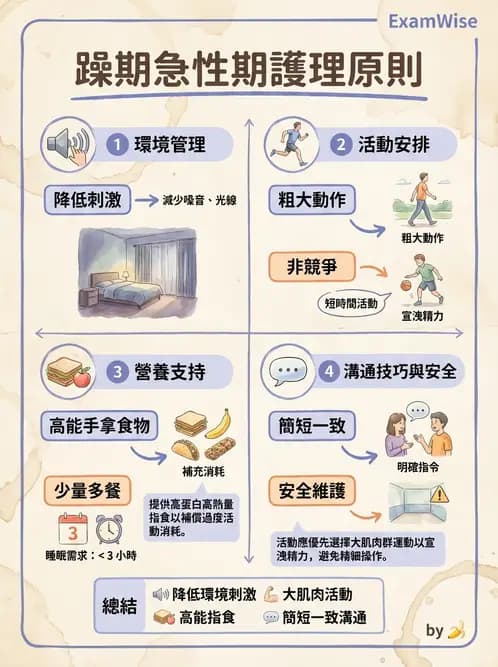 護理師 - 雙相情緒障礙護理 - AI 圖文解析預覽
