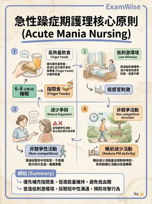 護理師 - 雙相情緒障礙護理 - AI 圖文解析預覽