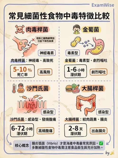 護理師 - 環境衛生與護理 - AI 圖文解析預覽
