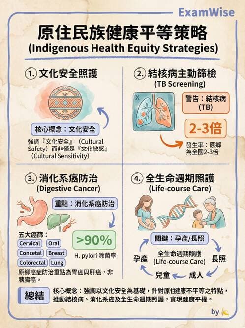 護理師 - 健康照護體系與健康政策 - AI 圖文解析預覽