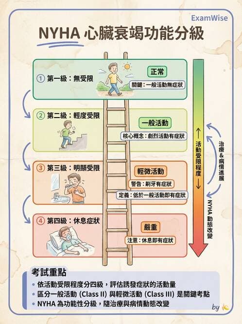 專師 - 心衰竭 - AI 圖文解析預覽
