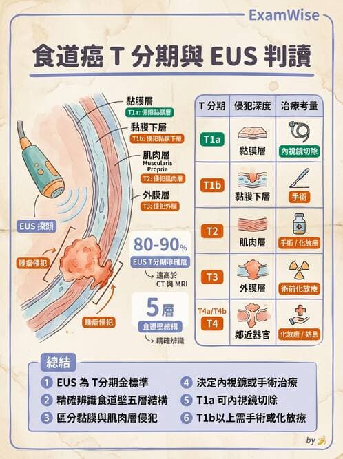 專師 - 上消化道 - AI 圖文解析預覽