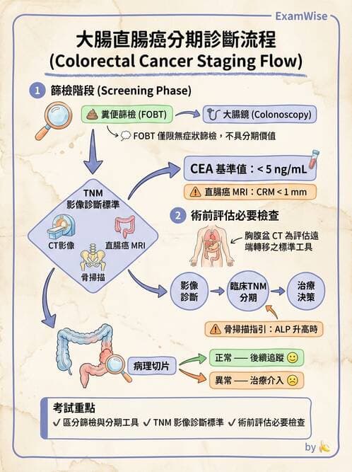專師 - 大腸直腸癌與息肉 - AI 圖文解析預覽