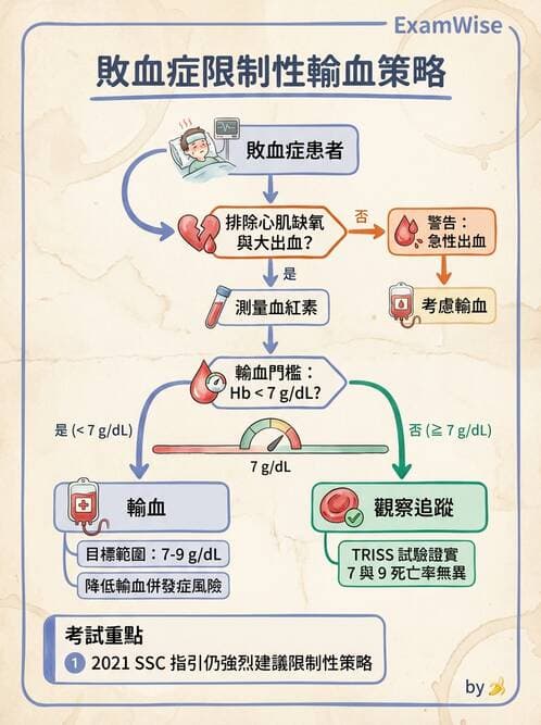 專師 - 敗血症治療與復甦指引 - AI 圖文解析預覽
