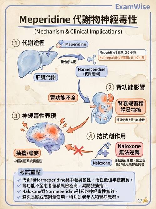 專師 - 術後疼痛控制 - AI 圖文解析預覽