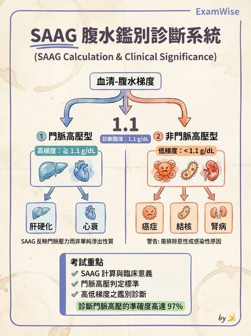 專師 - 肝硬化與併發症 - AI 圖文解析預覽