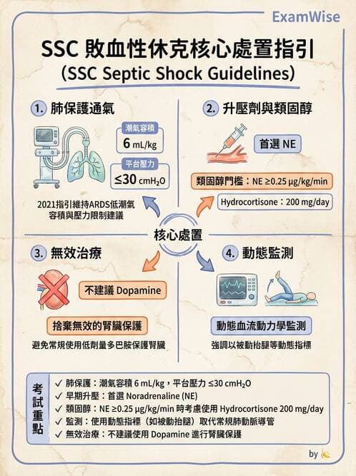 專師 - 敗血症治療與復甦指引 - AI 圖文解析預覽