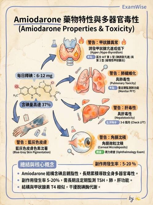 專師 - 心律不整與ECG判讀 - AI 圖文解析預覽
