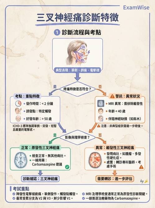 專師 - 腦神經檢查與神經學評估 - AI 圖文解析預覽